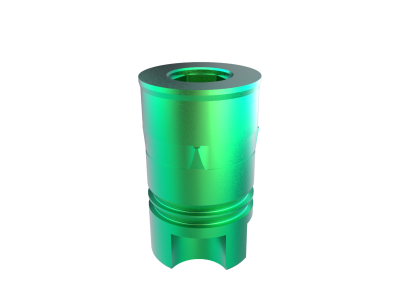 Biomet 3i Certain 6.0 PMA ELOS Accurate Analog 