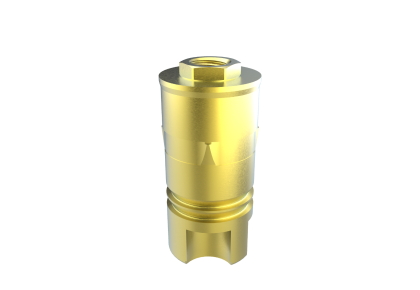 Biomet 3i Ex Hex 5.0/6.0 PMA ELOS Accurate Analog 

