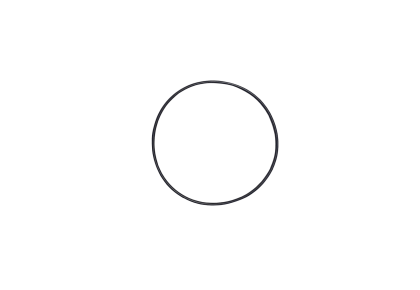 O-Ring l=42,00mm d=1,00mm