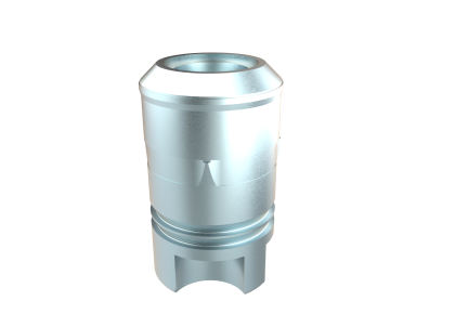 Straumann Standard WN PMA ELOS Accurate Analog 
